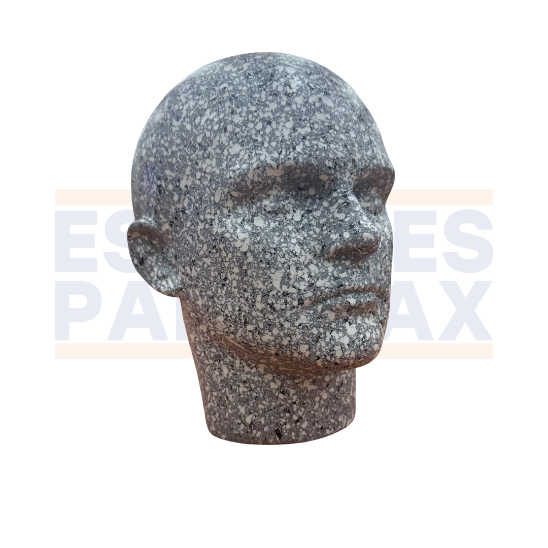 Maniquí de Cabeza Hombre Color Piedra PMX-1296