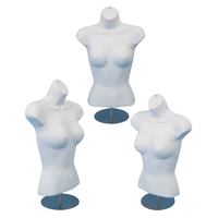 Silueta de Torso Dama Blanco I86180